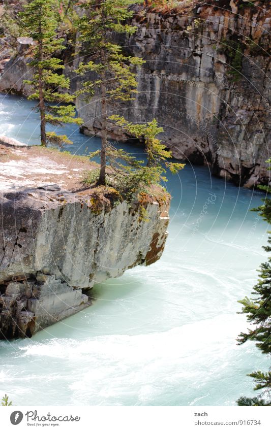 Gegenstromanlage Tourismus Ferne Sommer Landschaft Wasser Pflanze Baum Nadelbaum Nadelwald Wald Hügel Felsen Berge u. Gebirge Rocky Mountains Kootenay NP