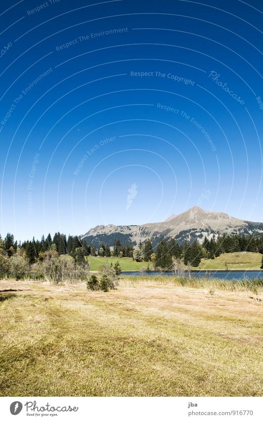 Am Lauenensee Zufriedenheit ruhig Ausflug Sommer Sommerurlaub Berge u. Gebirge wandern Natur Landschaft Wasser Herbst Schönes Wetter Gras Schilfrohr Stroh Küste