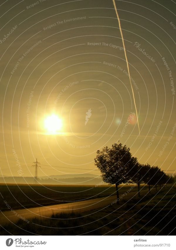 bis zum Horizont Allee Landstraße Morgen Morgennebel Sonnenaufgang Gegenlicht blenden Baum Silhouette Hügel Abstufung Arbeitsweg Strommast Sonnenenergie