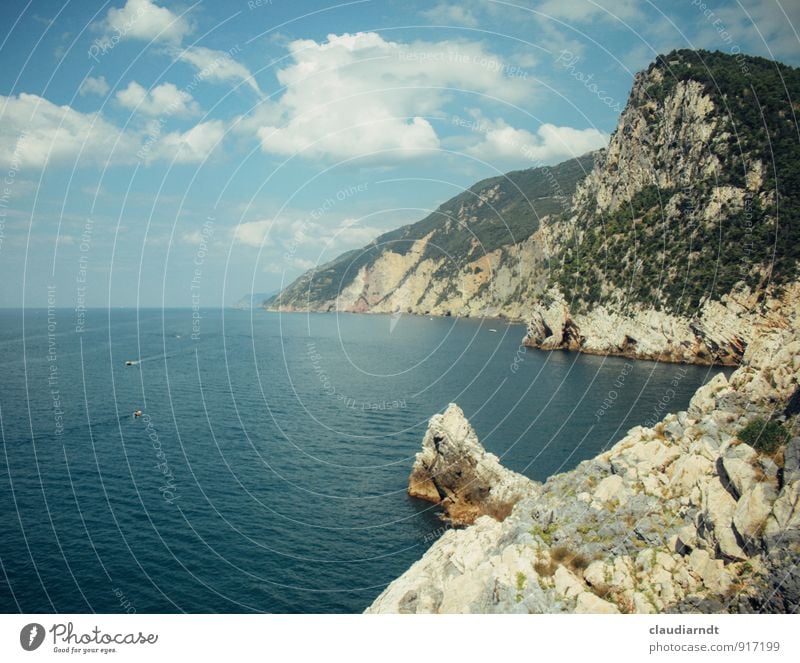 Ligurische Küste Natur Landschaft Urelemente Wasser Himmel Wolken Sommer Schönes Wetter Wald Felsen Bucht Meer Mittelmeer Italien Europa schön