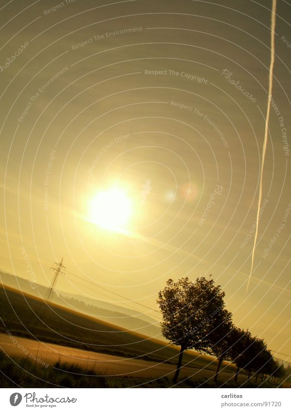 Sie kippt !! Allee Landstraße Morgen Morgennebel Sonnenaufgang Gegenlicht blenden Baum Silhouette Hügel Abstufung Arbeitsweg Strommast Sonnenenergie