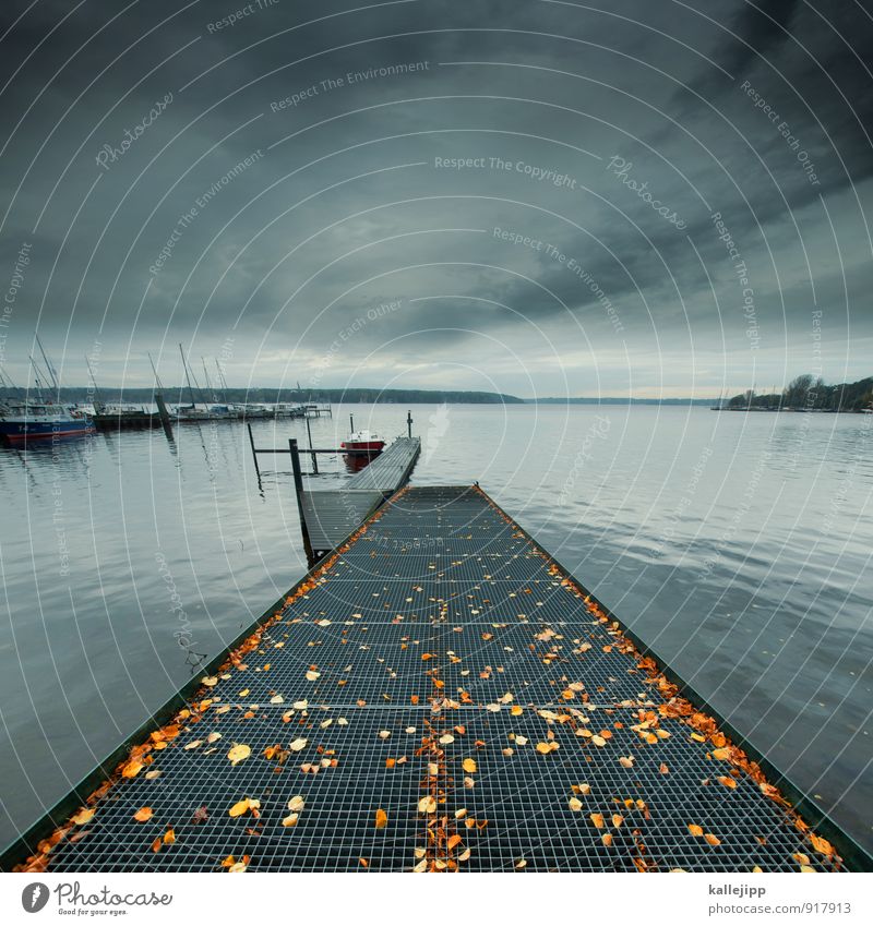 landungsbrücken Segeln Umwelt Natur Landschaft Seeufer maritim Hafen Steg Wasserfahrzeug Segelboot slipanlage Blatt Saison herbstlich Brücke Wasseroberfläche