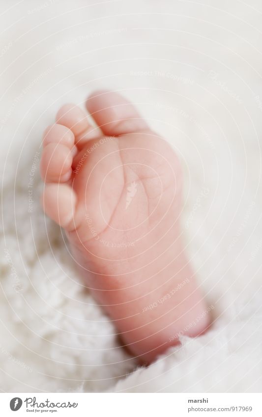 neues Leben Mensch Kind Baby Fuß Gefühle Stimmung weich Kleinkind Geburt Liebe Eltern Farbfoto Innenaufnahme Nahaufnahme Detailaufnahme Makroaufnahme Tag