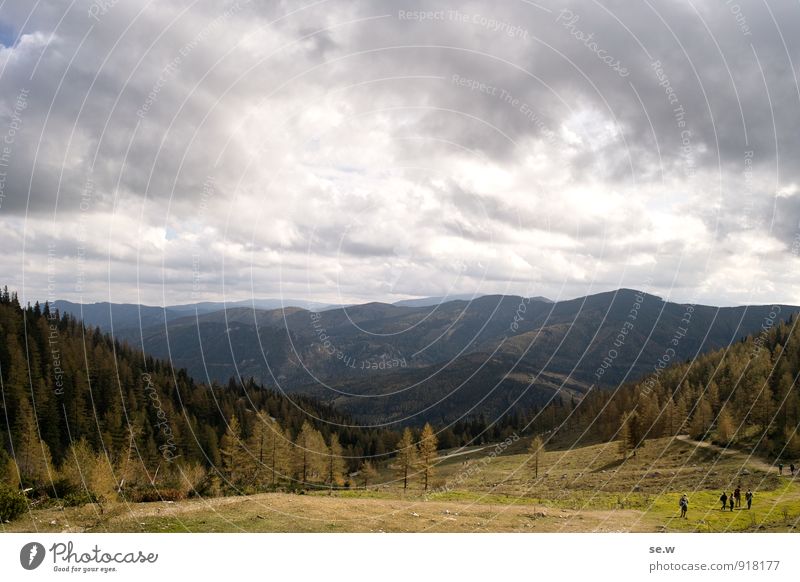 Herbstwanderung Berge u. Gebirge wandern 5 Mensch Landschaft Urelemente Wolken Schönes Wetter schlechtes Wetter Lärche Wald Alpen Rax Alm dunkel Stimmung