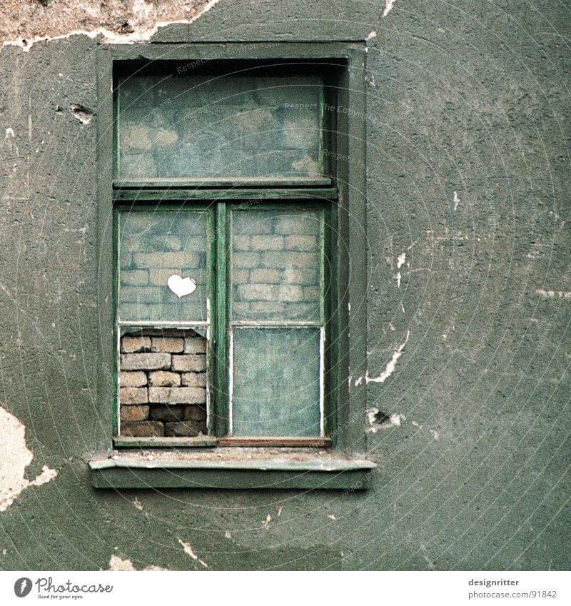 privat Fenster Mauer Privatsphäre grün Abrissgebäude verfallen geschlossen Ferne alt verbaut window closed bricked walled distance