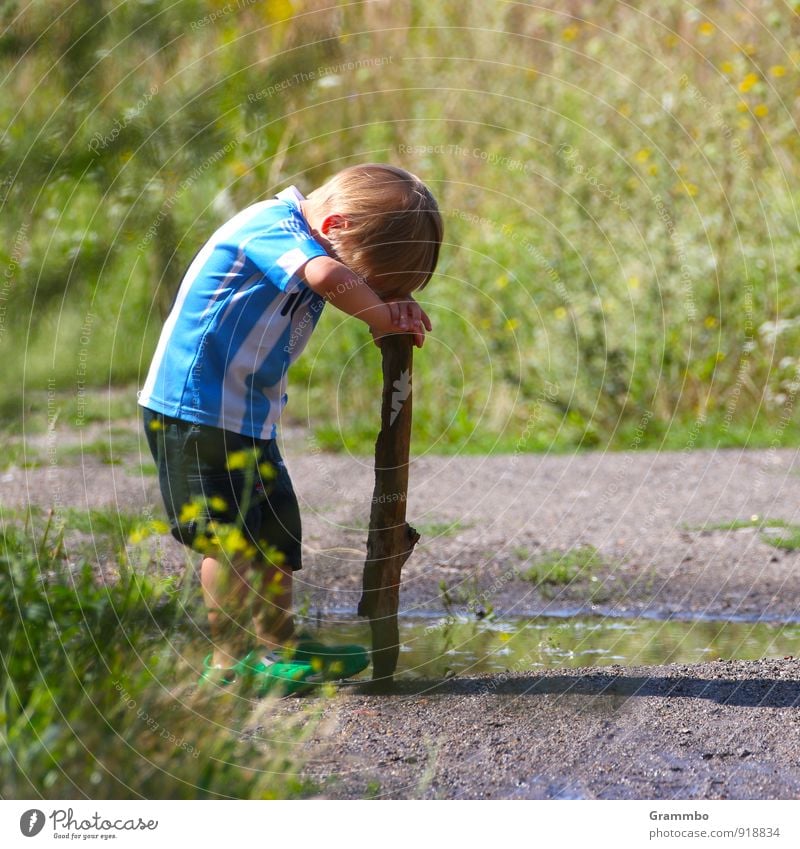 Kurze Denkpause Mensch maskulin Kind Junge Kindheit 1 1-3 Jahre Kleinkind Sommer Schönes Wetter Gras Sträucher Denken klein niedlich blau grün Pause ruhig