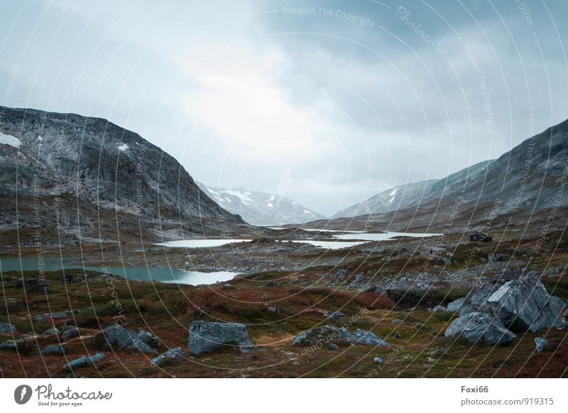 Tschüss liebe Anne....der Weg ist das Ziel Abenteuer Ferne Freiheit Landschaft Himmel Wolken Eis Frost Flechten Berge u. Gebirge gigantisch hoch kalt natürlich