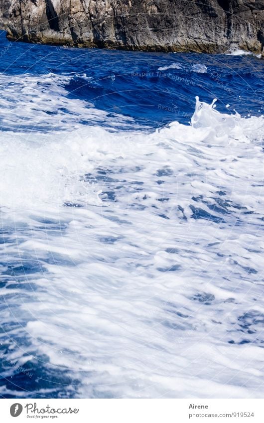 reißend Wasser Felsen Wellen Küste Meer bedrohlich frisch gigantisch stark blau weiß Kraft Leben Gischt tosen Wellengang tief Farbfoto Außenaufnahme