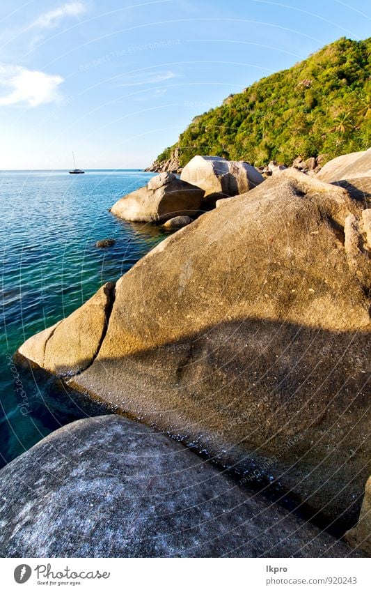 in thailand kho tao bay abstract o Ferien & Urlaub & Reisen Tourismus Ausflug Abenteuer Freiheit Sommer Strand Insel Wellen Natur Pflanze Sand Schönes Wetter