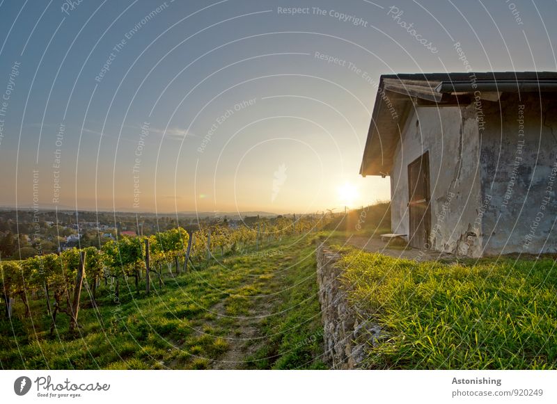 Hütte Umwelt Natur Landschaft Pflanze Luft Himmel Horizont Herbst Wetter Schönes Wetter Baum Gras Nutzpflanze Gebäude Mauer Wand Stein dunkel blau gelb grün