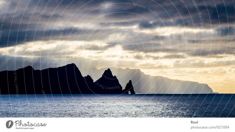 Die Steilküste von Madeira Segeln Kreuzfahrt Landschaft Urelemente Wasser Himmel Wolken Horizont Sonne Sonnenaufgang Sonnenuntergang Sonnenlicht Sommer Wetter