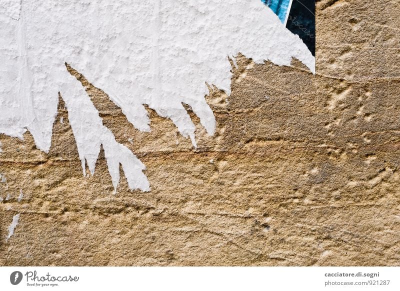 verpasst Werbebranche Veranstaltung Printmedien lesen Mauer Wand Fassade Papier Zettel Plakat Stein Schilder & Markierungen kaputt Stadt braun weiß Neugier