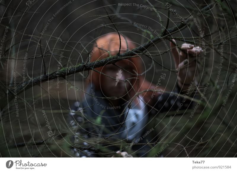 Waldfrau #4 Mensch feminin Junge Frau Jugendliche 1 18-30 Jahre Erwachsene Umwelt Natur Baum Abenteuer Angst chaotisch Außenaufnahme Kunstlicht