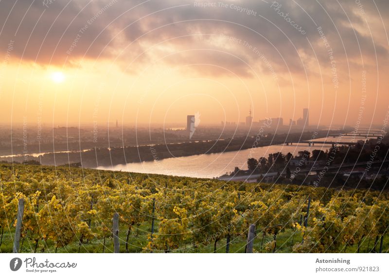 Morgen über Wien 4 Umwelt Natur Landschaft Pflanze Luft Himmel Wolken Horizont Sonne Sonnenaufgang Sonnenuntergang Sonnenlicht Herbst Wetter Schönes Wetter Baum