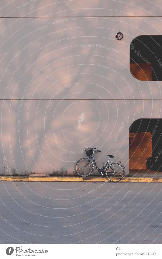 rad Schönes Wetter Baum Gebäude Architektur Verkehr Verkehrsmittel Fahrradfahren Straße Wege & Pfade Farbfoto Außenaufnahme Menschenleer Textfreiraum oben Tag