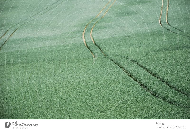 prettying up the world Feld Landwirtschaft Getreide Weizen Roggen Gerste Düngung spritzen Fahrbahn grün saftig Aussaat Atlantik bringen feucht Hanglage Test: