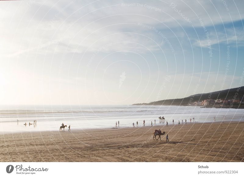 Strand von Taghazout Freizeit & Hobby Spielen Reiten Fußball Surfen Menschenmenge Landschaft Sand Wasser Sonnenlicht Hügel Wellen Küste Bucht Meer Atlantik