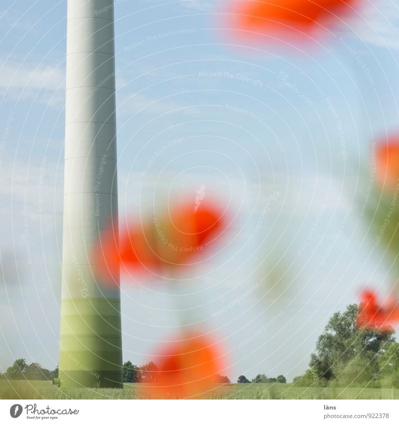 windspiel Arbeit & Erwerbstätigkeit Landwirtschaft Forstwirtschaft Energiewirtschaft Erneuerbare Energie Windkraftanlage Umwelt Natur Landschaft Sommer