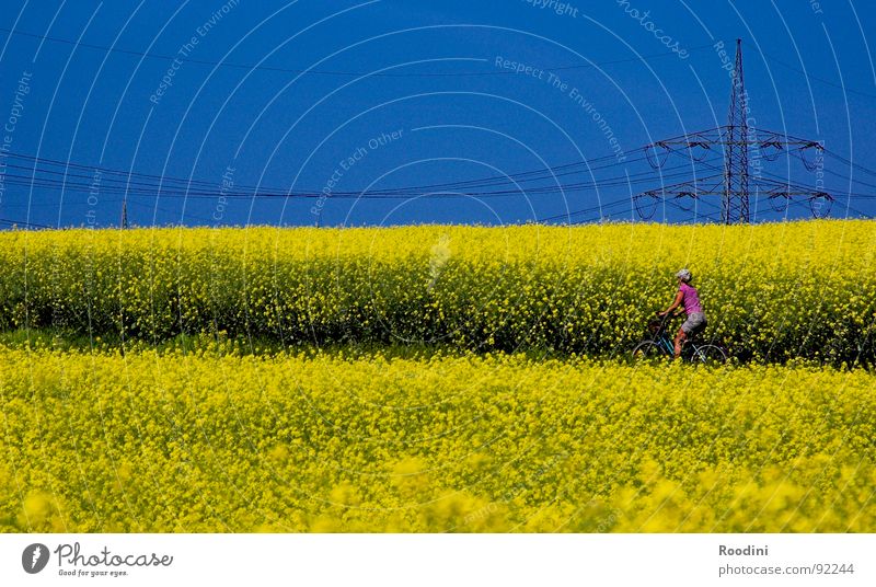 #100 und weiter...:) Raps Rapsfeld Rapsöl Küche kulinarisch Fahrrad Fahrradtour Ferien & Urlaub & Reisen Sommer Landwirtschaft Feld Bauernhof Elektrizität