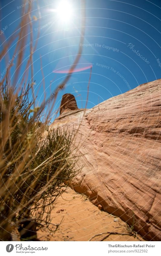 valley of fire Natur Landschaft Himmel blau braun gelb grau grün schwarz weiß Valley of fire Felsen Verlauf Gras Gegenlicht Sonne Himmel (Jenseits)