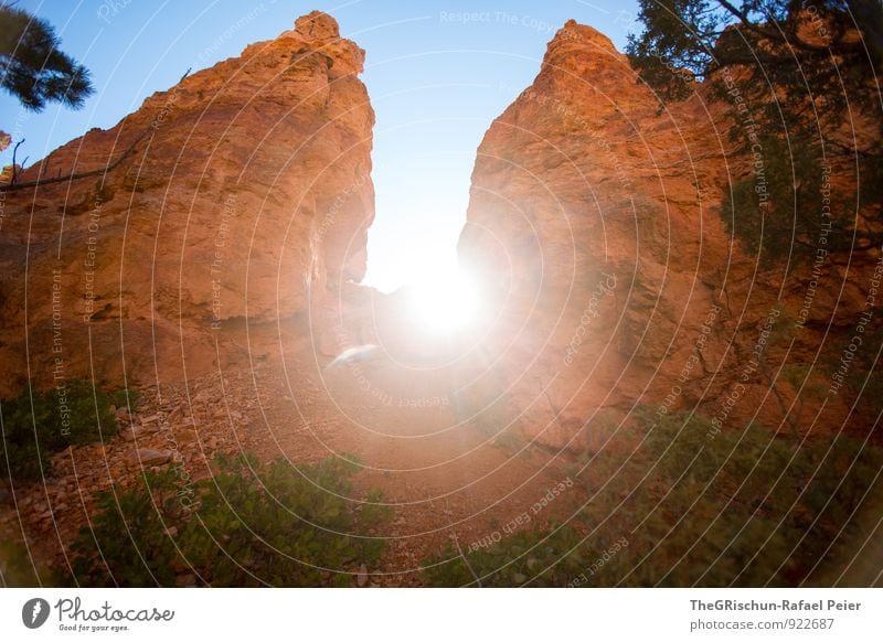 Gegenlicht Umwelt Natur Wüste blau braun gelb gold grün orange schwarz weiß Felsen sonne Baum Stein Bryce Canyon National Park Gesteinsformationen Ast Farbfoto