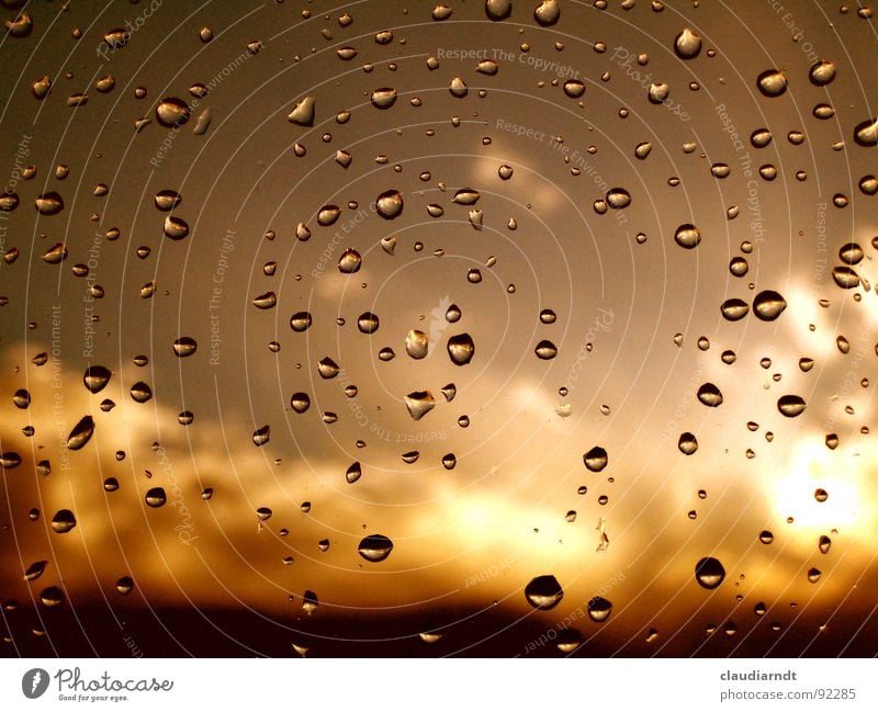 Fenstersprudel in Gold Regen Fensterscheibe Wolken niedlich dreckig braun Reflexion & Spiegelung Aussicht trüb Licht gelb Bronze Verlauf hell Trauer spritzen