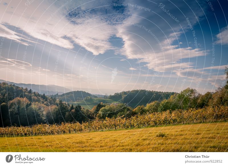 Herbstimpression Gesundheit Wellness Leben harmonisch Wohlgefühl Zufriedenheit Sinnesorgane Erholung ruhig Meditation Ferien & Urlaub & Reisen Ausflug Freiheit