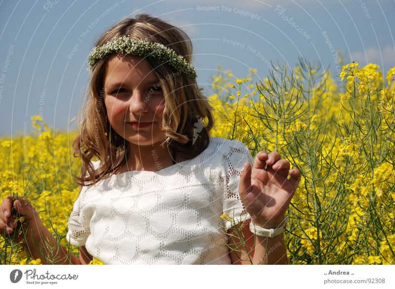 Im GELBEN Kind Mädchen Himmel Feld Glück blau gelb Raps Rapsfeld Kommunion Elfe weißes kleid Fee nikon d80 Farbfoto