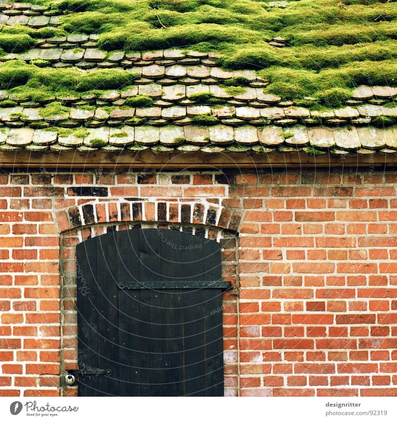 Gründach Dach Backstein Haus Holz Cottage Holzmehl Detailaufnahme alt Biberschwänze Hütte Tür Stein wuchern dosh moss roof old bonder brick clay brick door