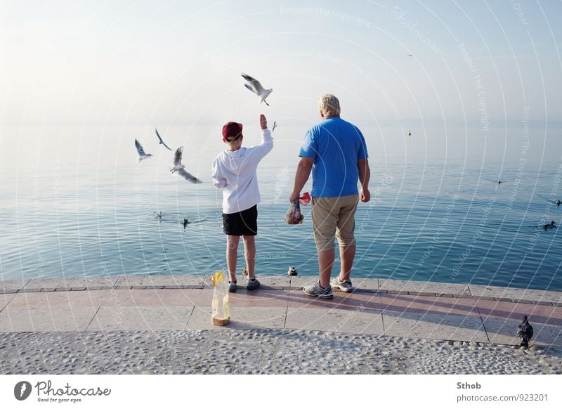 Möwen füttern am Gardasee Brot Freude Erholung Ferien & Urlaub & Reisen Ausflug Sonne maskulin Junge Mann Erwachsene Vater Familie & Verwandtschaft Kindheit