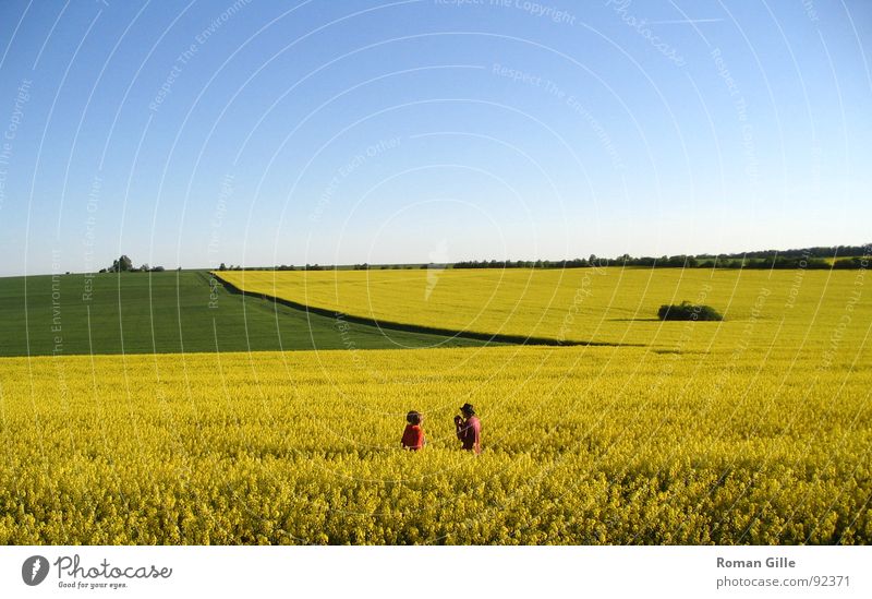 Rapsodie #3 Feld grün gelb rot Ferne Mensch harmonisch Aussicht Außenaufnahme Frühling Himmel blau Natur Graffiti