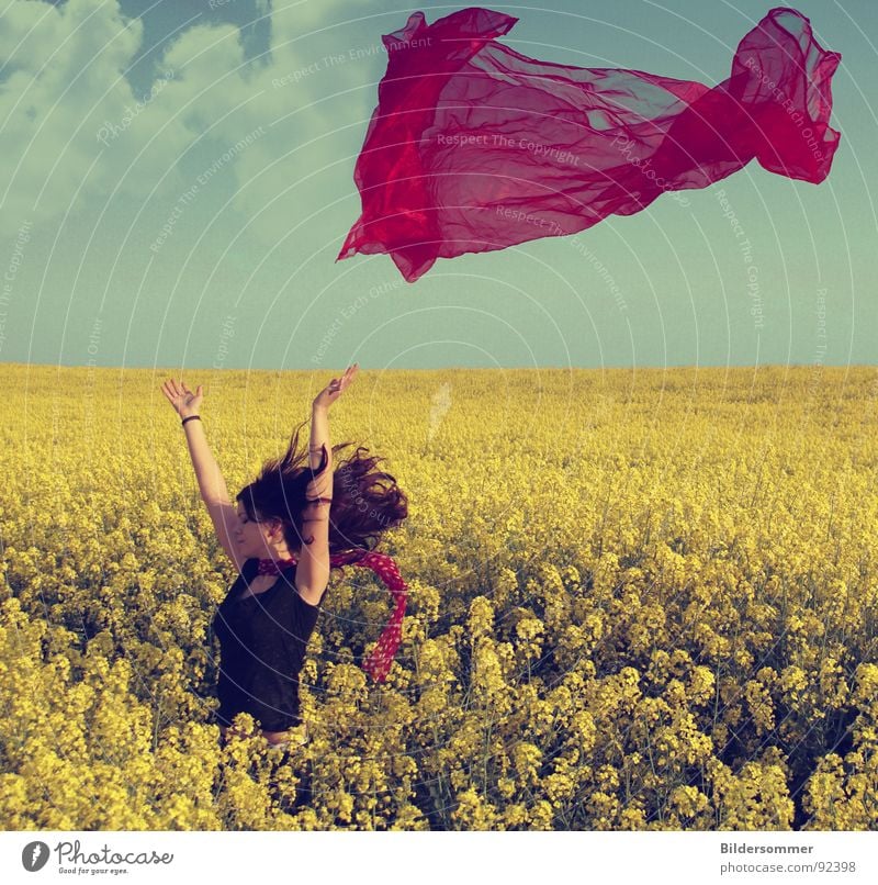 Raps II Rapsfeld Feld Frühling rot gelb Landwirtschaft Frau Schal Schleier Wolken grün Landschaft blau rape field rapefield scarf woman red blue cloud clouds