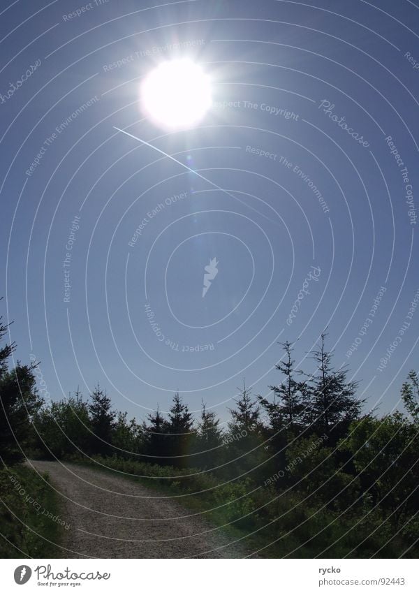 Erleuchtung Licht erleuchten Beleuchtung Überbelichtung Erkenntnis Baum grün Sonne Gegenlicht Flugzeug steinig strahle Wege & Pfade blau Luftverkehr fliegen