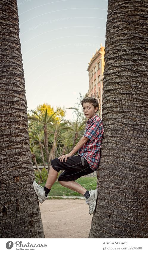 Zwischen zwei Palmen Lifestyle Freude sportlich Leben Ferien & Urlaub & Reisen Sommer Mensch maskulin Jugendliche 1 13-18 Jahre Kind Wolkenloser Himmel Baum