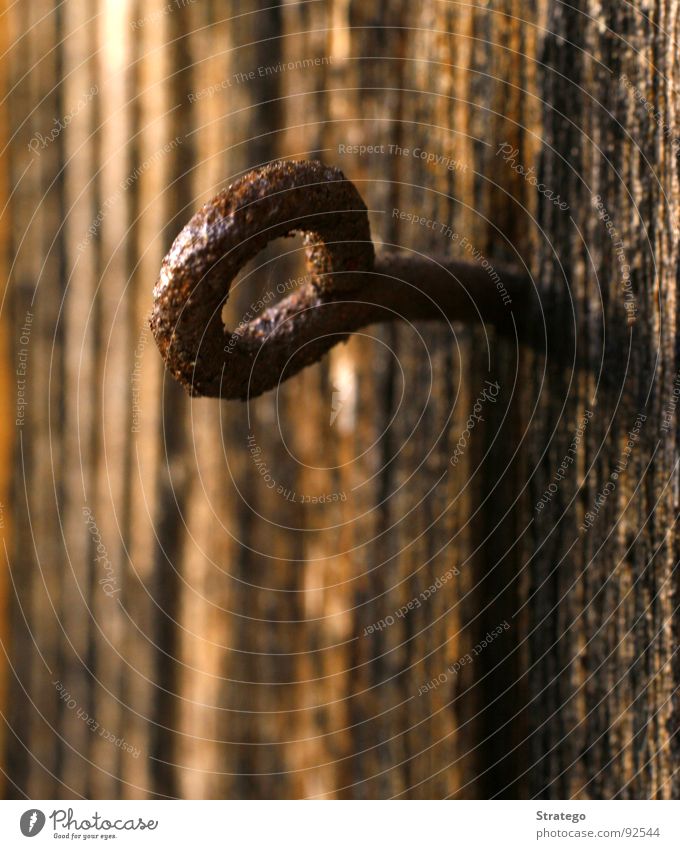 sicherer Halt?! Haken Halterung Holz zerbröckelt braun rot Eisen Nagel rund einschlagen Sicherheit Verfall Vertrauen Makroaufnahme Nahaufnahme Handwerk Rost