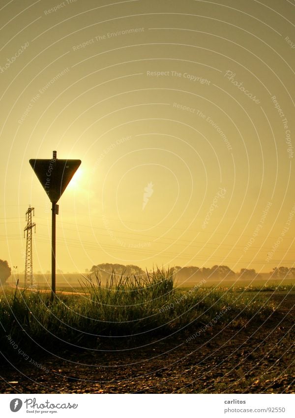 Achtung Sonne gefährlich Hautfalten unverträglich Sonnenaufgang Gegenlicht blenden Morgennebel diffus Weißabgleich Gelbstich Physik Freundlichkeit Sommermorgen