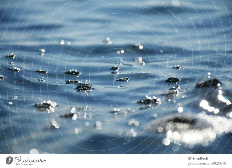 Wasser. Natur Wassertropfen Schönes Wetter Wellen Küste Seeufer Meer Teich Bach Fluss Bewegung stagnierend Wasseroberfläche blau Blase kalt Nahaufnahme