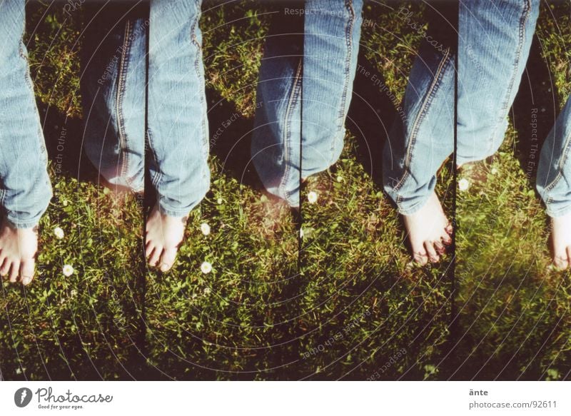 alle meine beine Hose Zehen Gras Gänseblümchen Frühling Sommer mehrere Freude Beine Jeanshose Fuß Lomografie supersampler Freiheit Gefühle viele Wiederholung