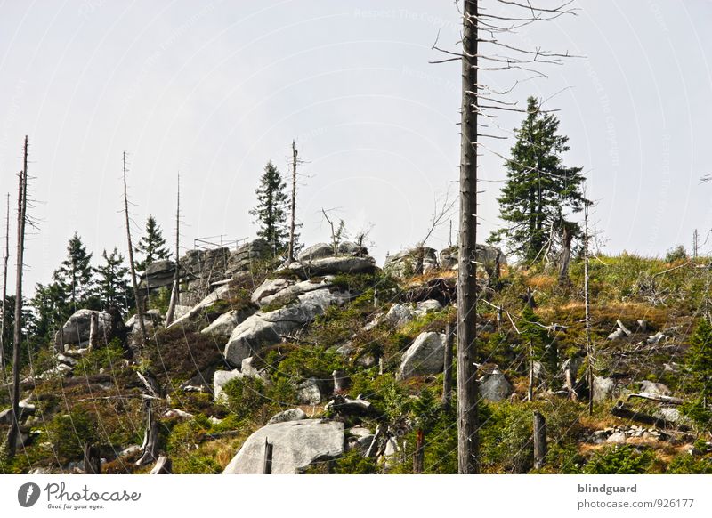 Vom Leben, dem Tod und den Steinen Ferien & Urlaub & Reisen Ausflug Abenteuer Ferne Berge u. Gebirge Umwelt Natur Landschaft Pflanze Erde Himmel Klima