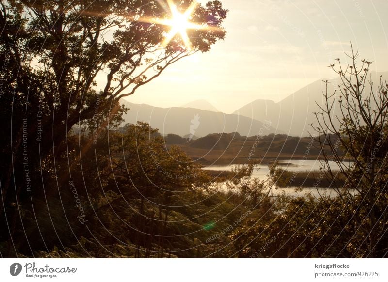 Strahlen Natur Landschaft Pflanze Wasser Baum Sträucher Berge u. Gebirge Gipfel Seeufer Flussufer Abenteuer entdecken Erholung Idylle Farbfoto Außenaufnahme