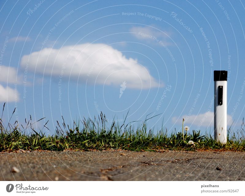 achtung! bissige kurve! Himmel Wolken Sommer Verkehrswege Straßenverkehr Kunststoff Zeichen blau braun grün weiß Straßenrand Asphalt Pfosten Farbfoto