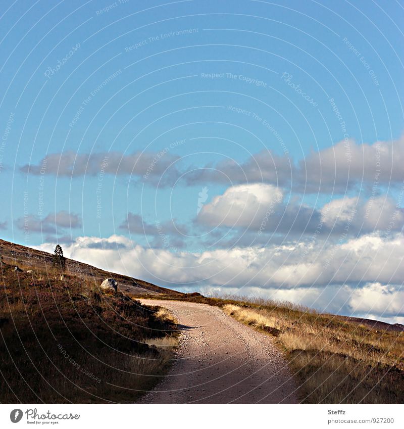 der Weg führt direkt ins Licht Schottland schottischer Sommer besonderes Licht nordische Romantik schottische Landschaft nordische Landschaft nordische Natur