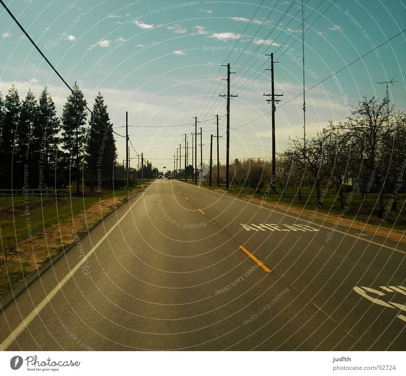 STOP AHEAD Teer Amerika Buchstaben Mittellinie weiß gelb Wolken Baum Straßenrand unterwegs fahren Autofahren Elektrizität Telefonmast Strommast Gras Wiese