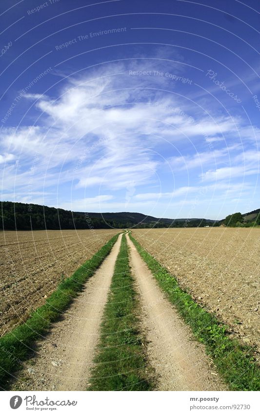 der staubige pfad gottes Wolken grün Staub 2006 Sommer Feld Thüringen transpirieren Aufenthalt Thüringer Wald pflügen Zeit Pause Mitte Horizont