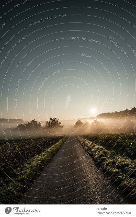 Break On Through Umwelt Natur Landschaft Erde Luft Himmel Wolkenloser Himmel Sonne Sonnenaufgang Sonnenuntergang Sonnenlicht Schönes Wetter Nebel Feld Straße