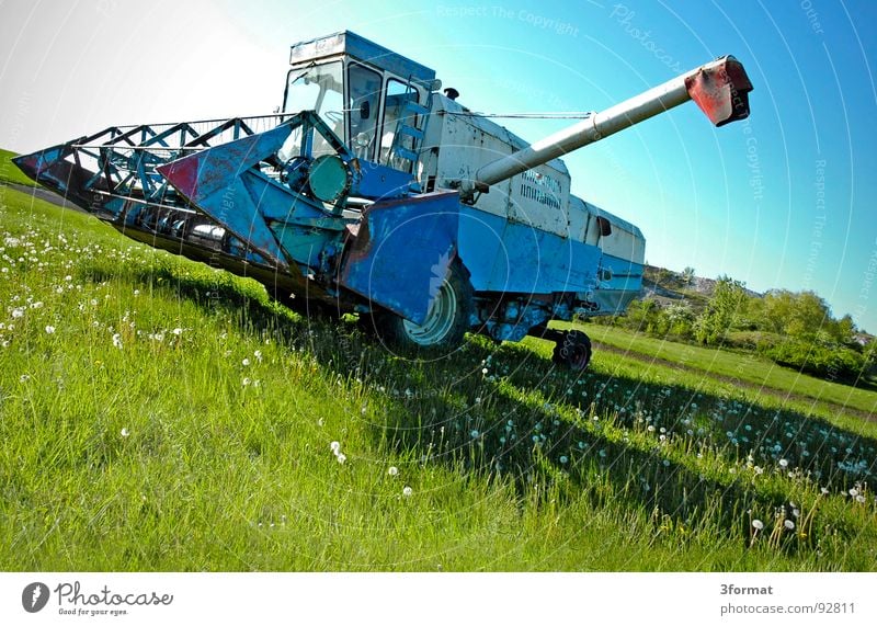 drescher02 Ähren Mähdrescher Maschine Landleben Feld Weizen Landwirt Landwirtschaft Dorf Osten Sachsen-Anhalt Arbeit & Erwerbstätigkeit Mehl grün Pflanze