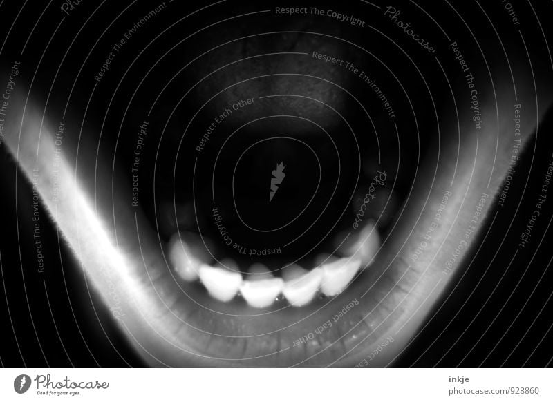 Nahaufnahme Offener Mund Zähne 1 Mensch schreien Aggression bedrohlich dunkel gruselig wild Gefühle Angst Entsetzen Todesangst Wut Frustration Rache Hass