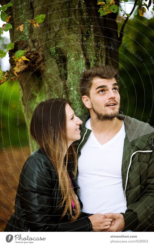 romantiker Familie & Verwandtschaft Freundschaft Paar Partner Jugendliche 2 Mensch 18-30 Jahre Erwachsene Natur Herbst Park Wald Glück Zufriedenheit