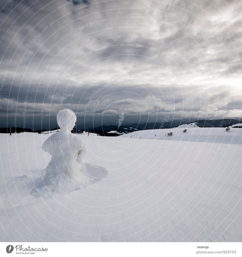 Have You Seen this Man? Ausflug Abenteuer Winter Schnee Winterurlaub Natur Landschaft Himmel Gewitterwolken Klima schlechtes Wetter Schneemann Zeichen kalt