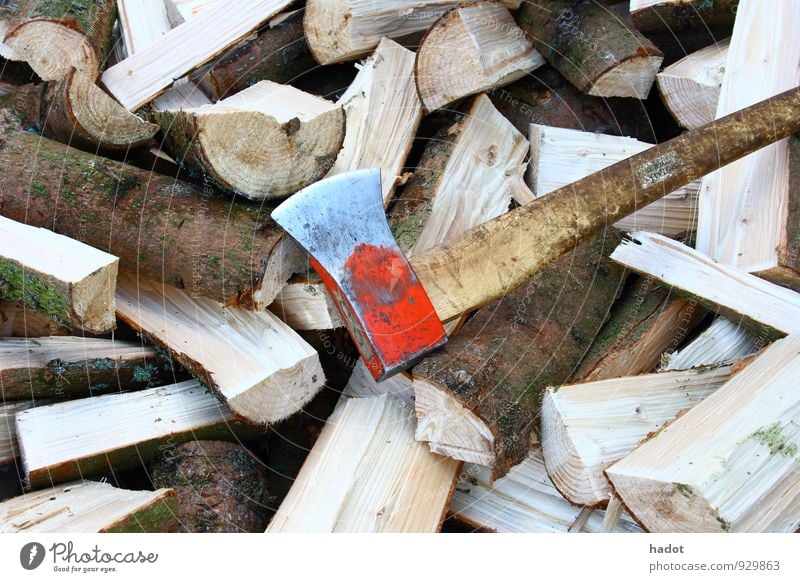 Holzscheite Axt Wald blau Brennholz Holzstapel Stapel Kaminfeuer Brand Baumstamm Farbfoto Außenaufnahme Menschenleer Totale